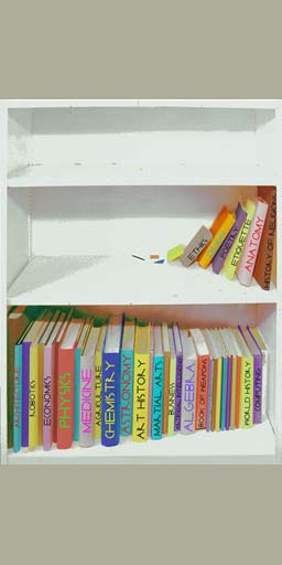 shelf, books, education, way to heaven, sculpture, installation art